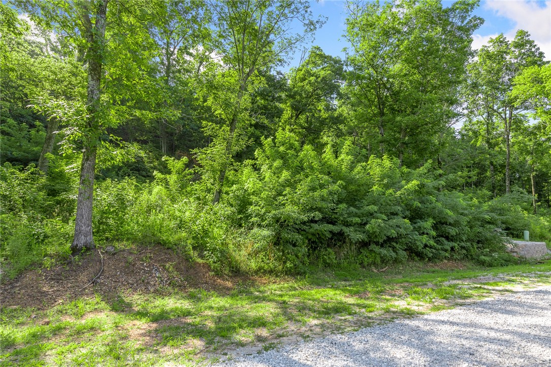 Round Mountain Estates - Land