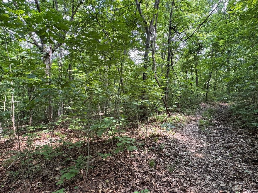 Secluded 20-acre Ozark retreat located off Stoverville Rd near Ponca. Untouched and private, this property offers abundant wildlife including frequent elk sightings in an area known for exceptional hunting opportunities. Seasonal scenic overlook could potentially be opened for incredible views of the historic Ponca bridge and nearby elk viewing area with selective clearing. Ideal for hunting, camping, or recreational use. Private easement access will have to be acquired by buyer. A National Park Service Road comes within approximately 50 yards of the property, providing easier walk-in access; however, motorized vehicles cannot cross Park Service property for access.  Rare opportunity to own a secluded piece of the Buffalo National River region.