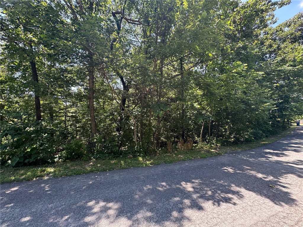 Lot in Bella Vista, 0.31 of an acre. Minutes from Tiree Park boat launch.