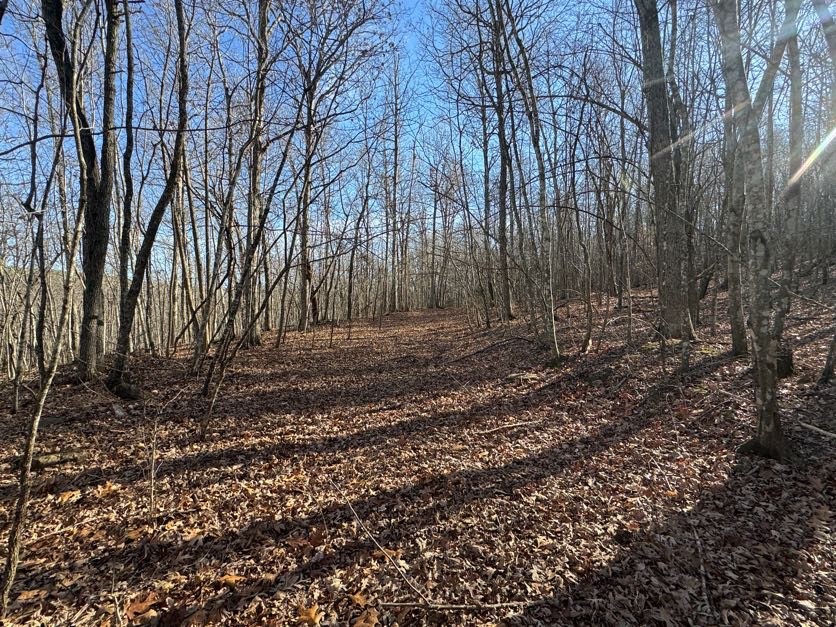 not in subdivision - Land