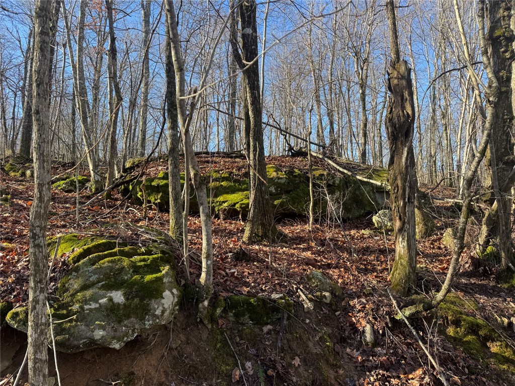 not in subdivision - Land