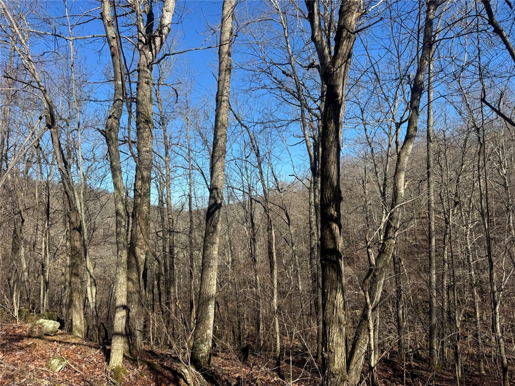 not in subdivision - Land