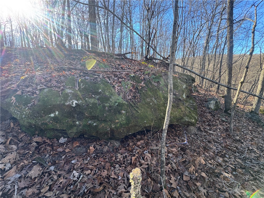 not in subdivision - Land