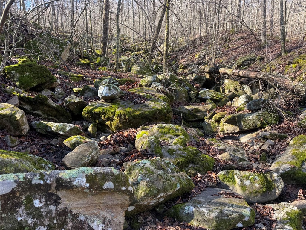 not in subdivision - Land