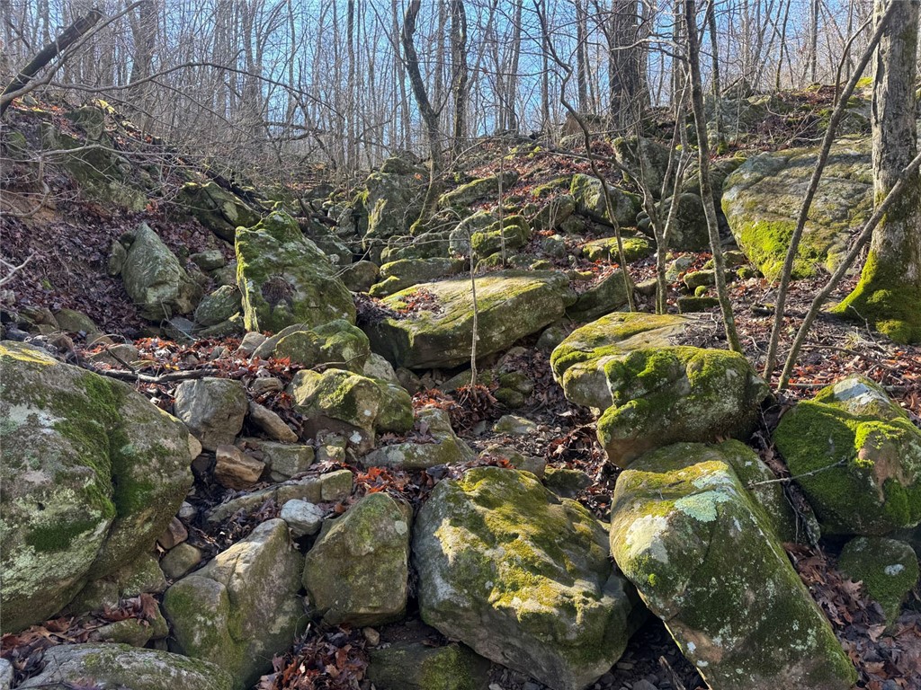 not in subdivision - Land