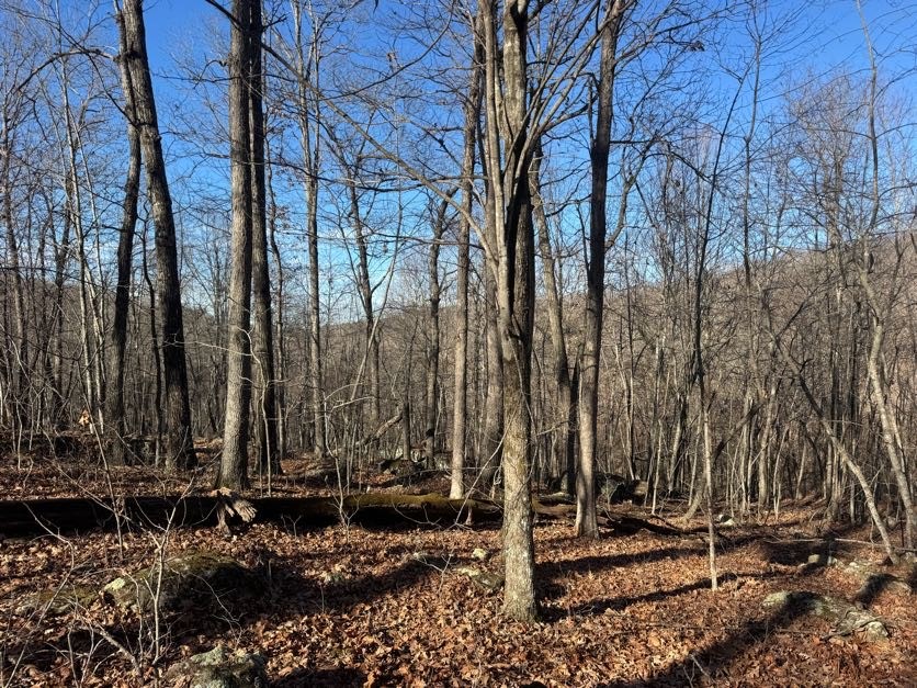 not in subdivision - Land