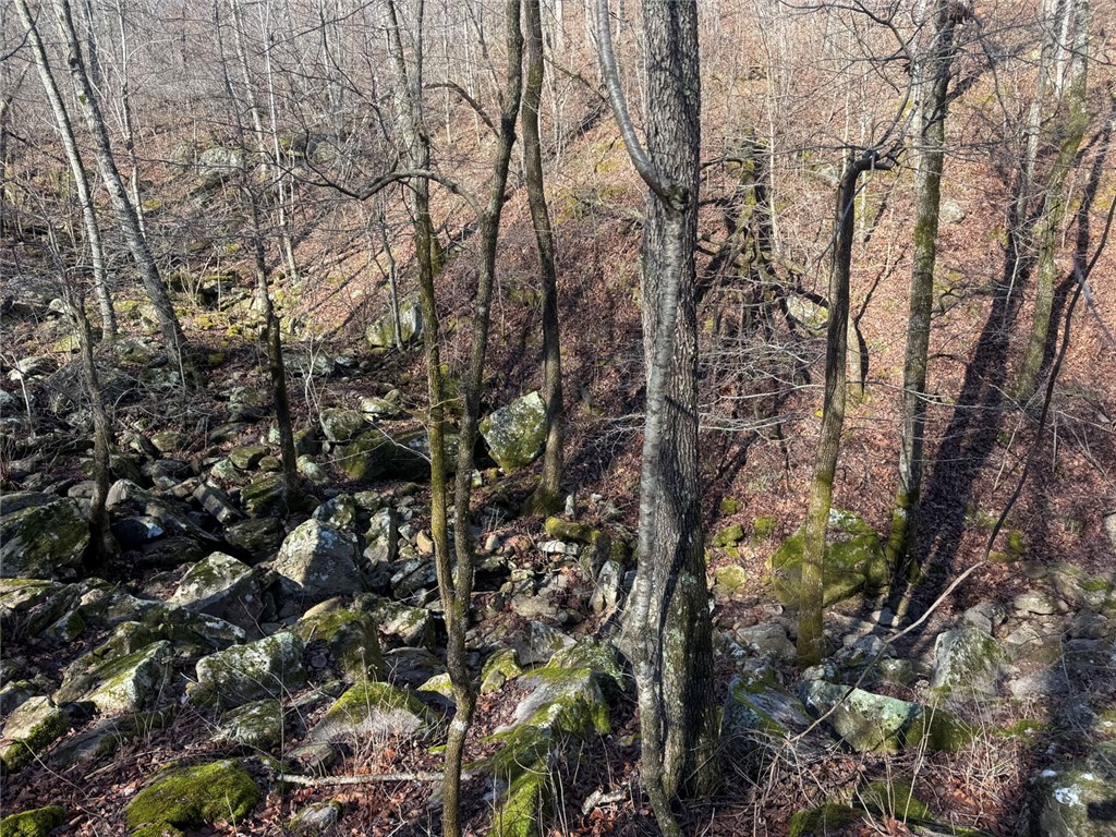 not in subdivision - Land