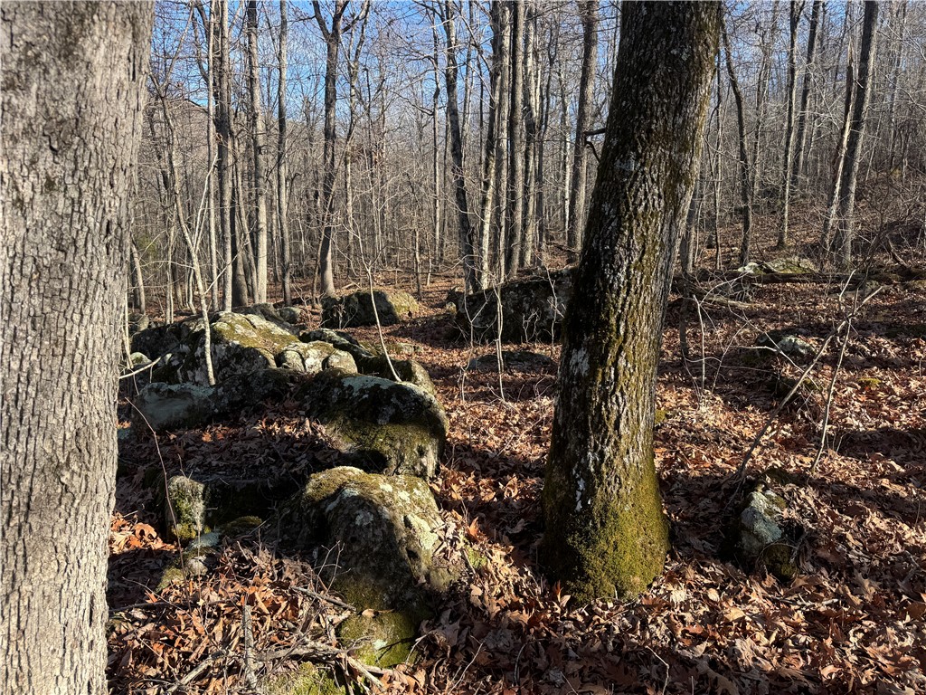 not in subdivision - Land