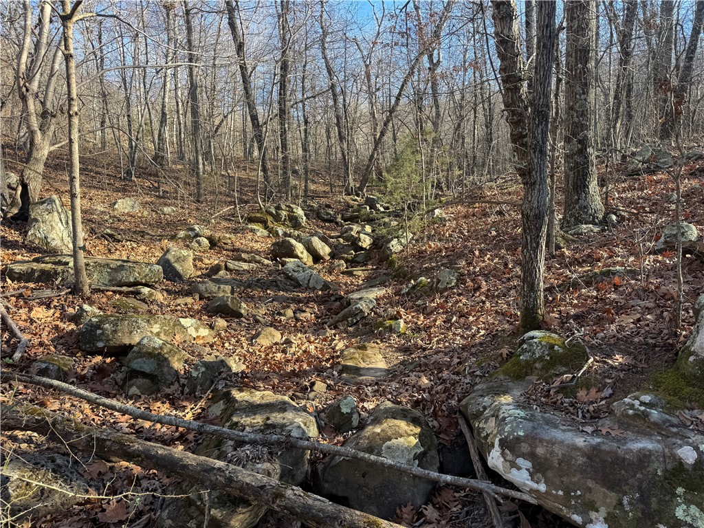 not in subdivision - Land