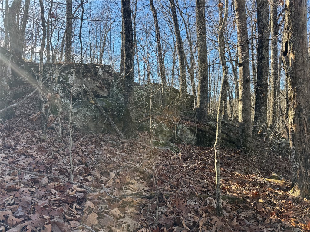 not in subdivision - Land