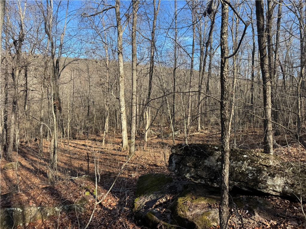 not in subdivision - Land