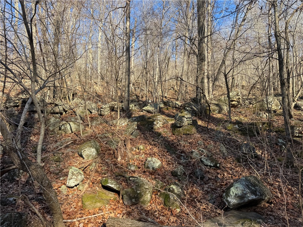 not in subdivision - Land