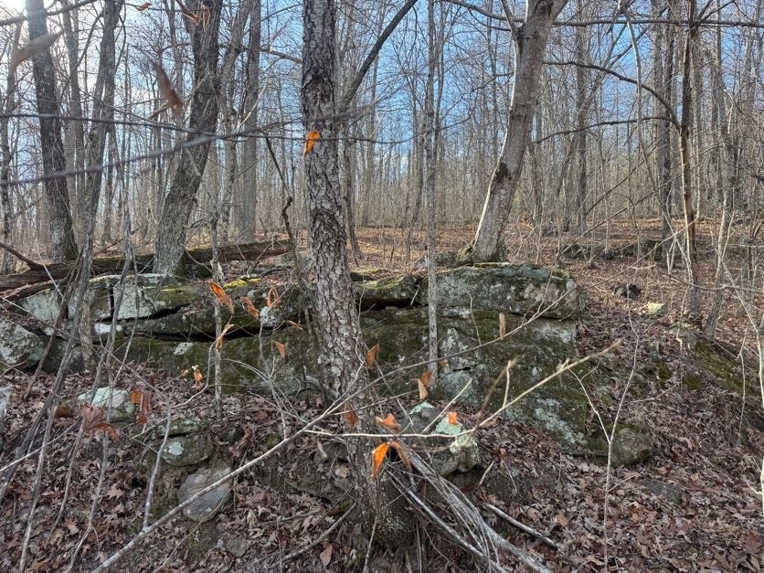 not in subdivision - Land