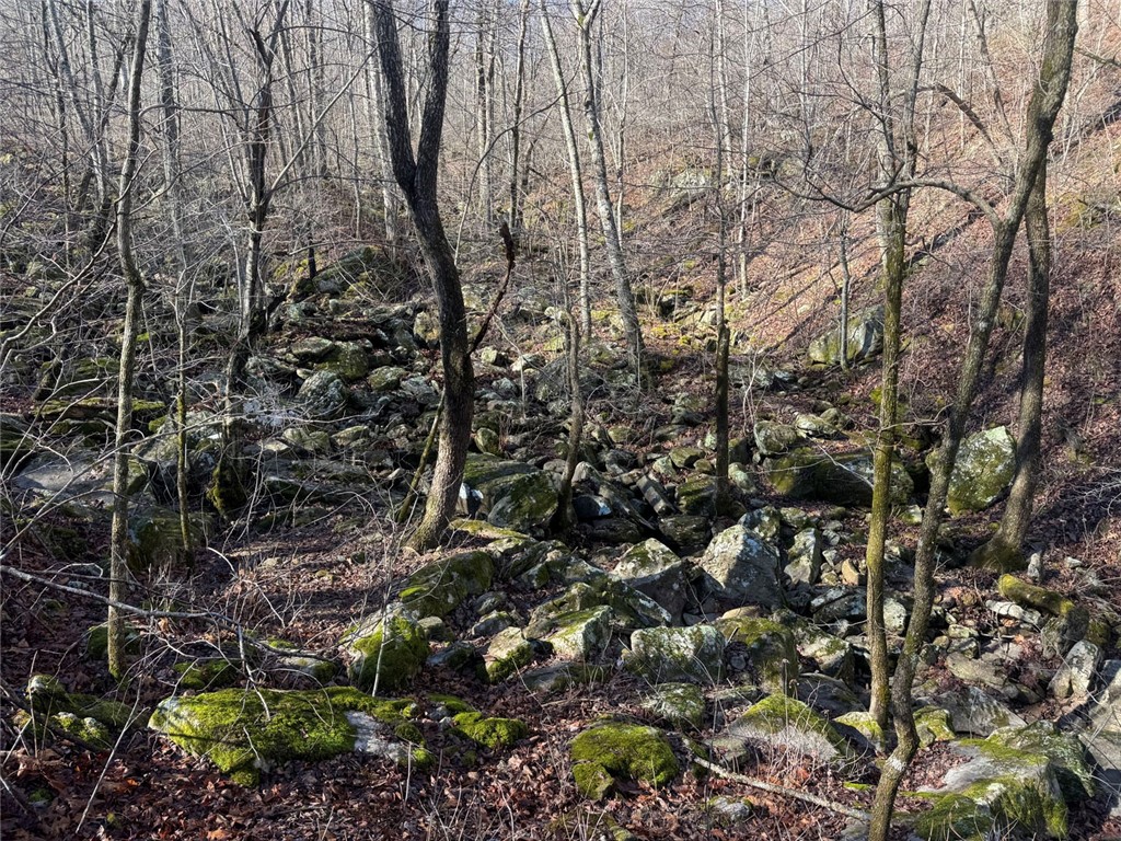 not in subdivision - Land