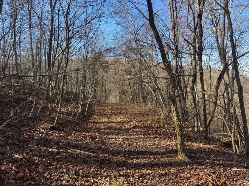 not in subdivision - Land