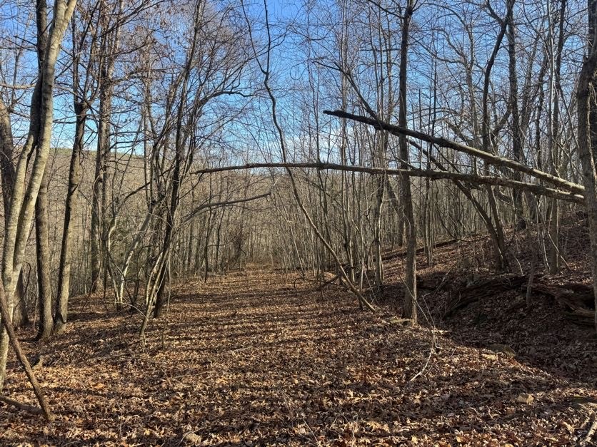 not in subdivision - Land