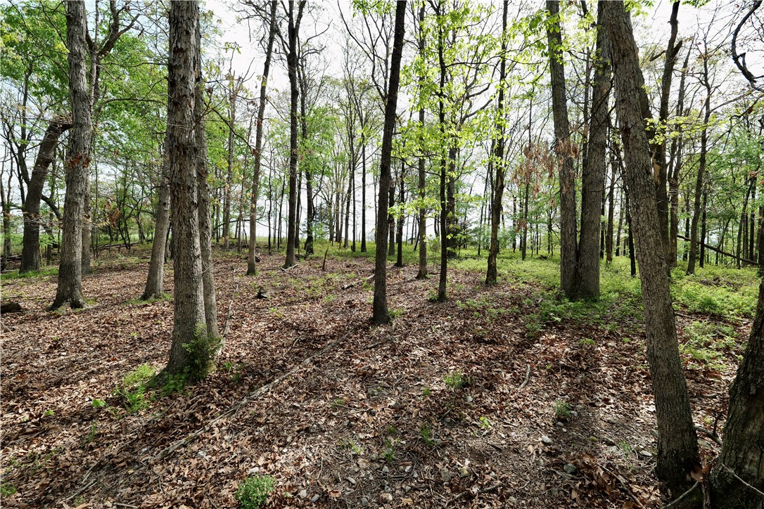 Ozark Estates - Land