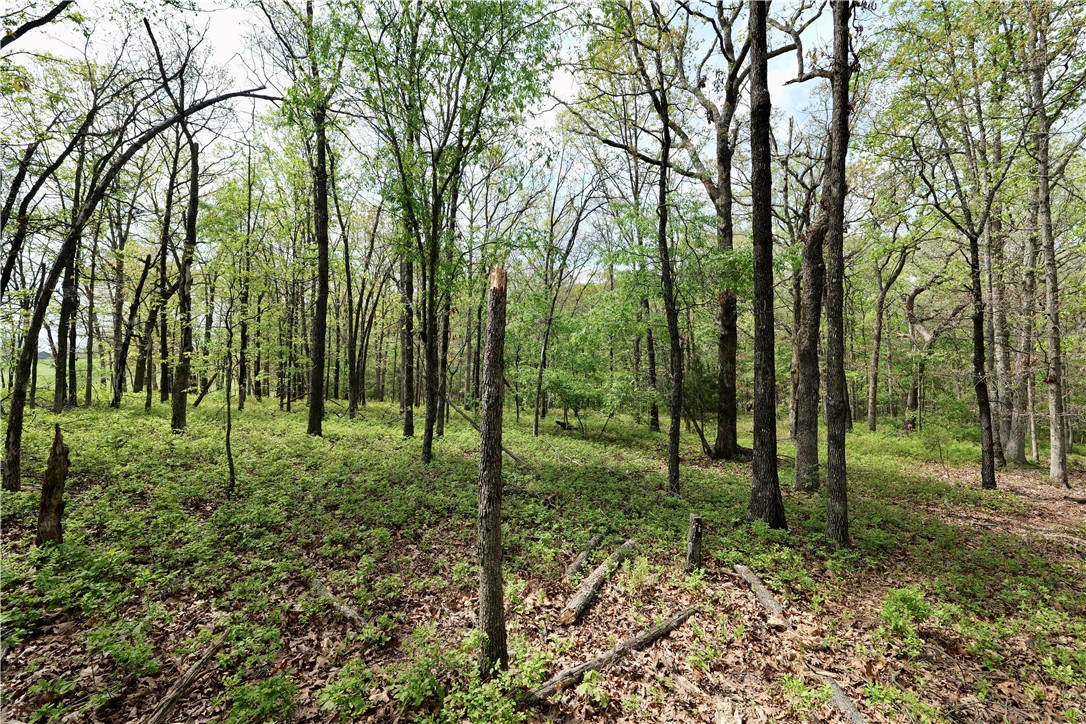 Ozark Estates - Land