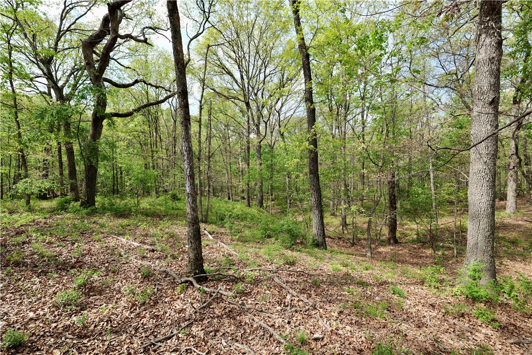 Ozark Estates - Land