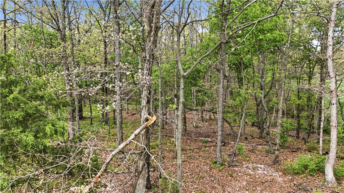 Ozark Estates - Land