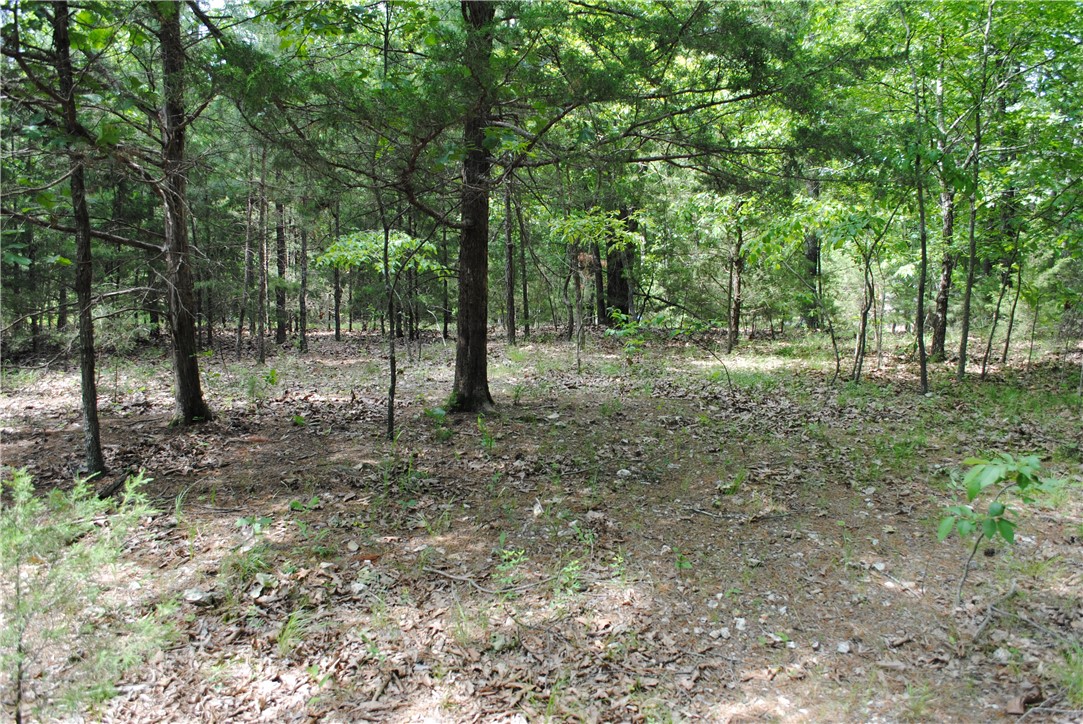 If you have ever looked for a lake area lot around Beaver Lake, you would know one of the toughest things is to find one that is a great buildable lot with municipal water and internet. This one is not like the others. Tucked between West Robin Road and Lake Estates Drive, this exceptionally buildable lot is only about 4 minutes away (1.4 miles) from Rocky Branch Park swimming area and public boat launch. Rocky Branch Marina is about the same distance away. Electricity, U-Verse and municipal water at street. Hobbs State Park hiking & biking trails, War Eagle Mill and War Eagle Caverns are just down the road. Using GPS, lots are immediately before 8175 Robin Lane. Best access to see the full potential of the property is to go up West Robin Road to the top.