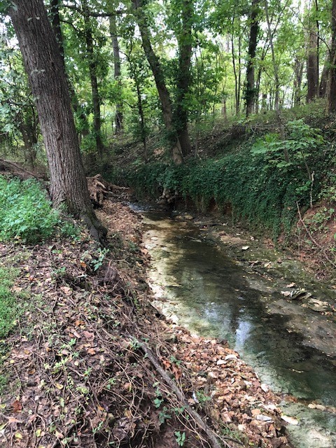 Glenbrook Sub Bentonville - Residential