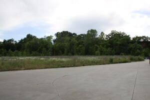 Great Commercial Location. 390'' fronting on Hwy 65 By-Pass. Vacant 3 acres between By-Pass Liquor and Wash World of Harrison.