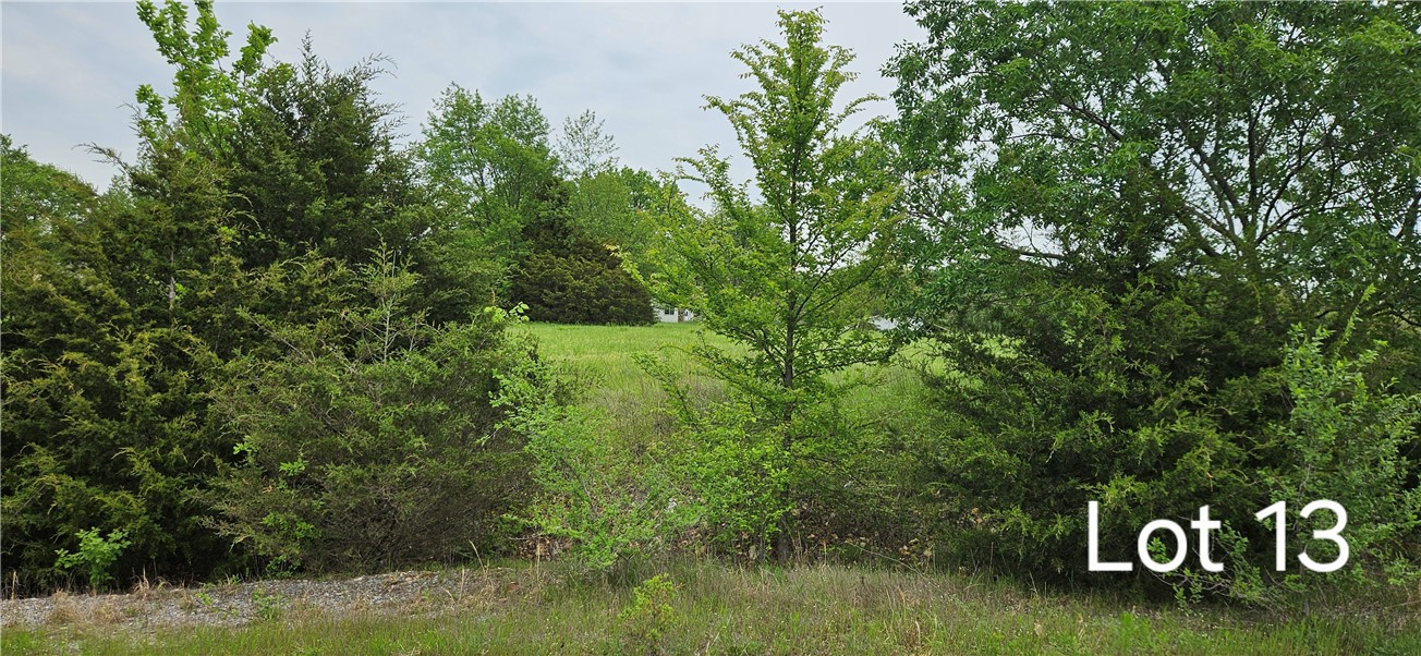 Ridgeview Estates 2006 Rurban - Land