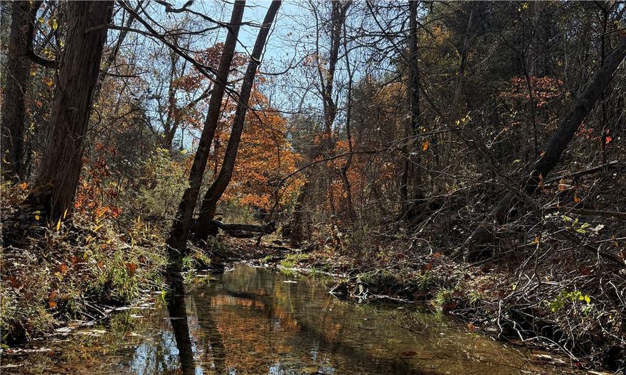 41.67 wooded acres packed with wildlife and natural water features — including a creek and three known springs
— all just 5.7 miles from the Peel Ferry and 45 miles to Branson MO. Secluded, quiet, and full of potential for building, hunting, or a private retreat.