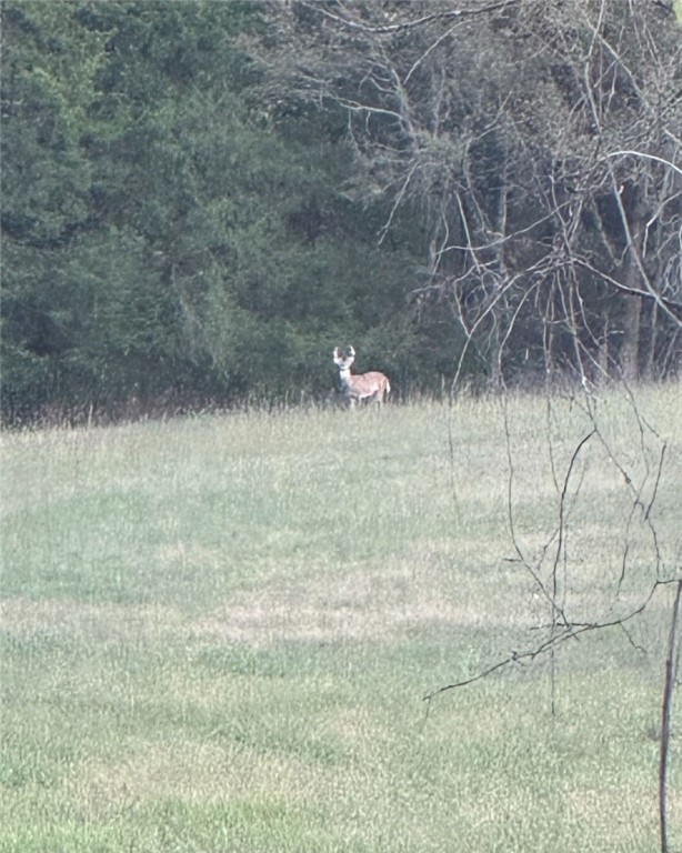 Glenwood Park Add - Land