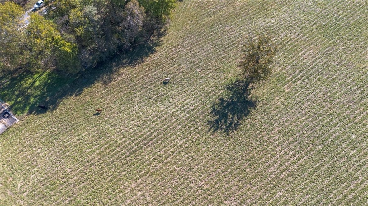 Tontitown Outlots - Land