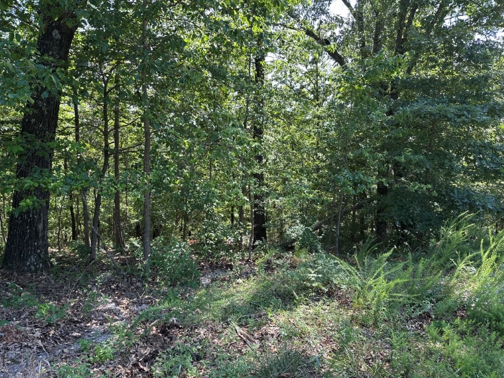 Build your dream home on this 0.34-acre lot in Bella Vista's Berkshire Subdivision! Enjoy nearby access to Lake Anne, Lake Brittany and the Metfield Golf & Recreation Complex offering trails, a fitness center and more. Nestled in a peaceful wooded setting with utilities at the street, this lot offers both natural beauty and convenience. Don't miss your chance to own a slice of Northwest Arkansan paradise!