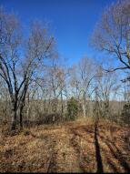 20 acres of prime land in Omaha, AR located on Enon Rd. This stunning property features 7 acres of cleared land with a small view of the nearby lake. Situated just 10 miles from Cricket Creek Marina and Baits Market, and only 15 minutes from the bustling city of Branson, MO. Perfect for building your dream home or developing into a serene retreat. Don't miss this rare opportunity to own a piece of paradise with convenient access to both nature and city amenities.