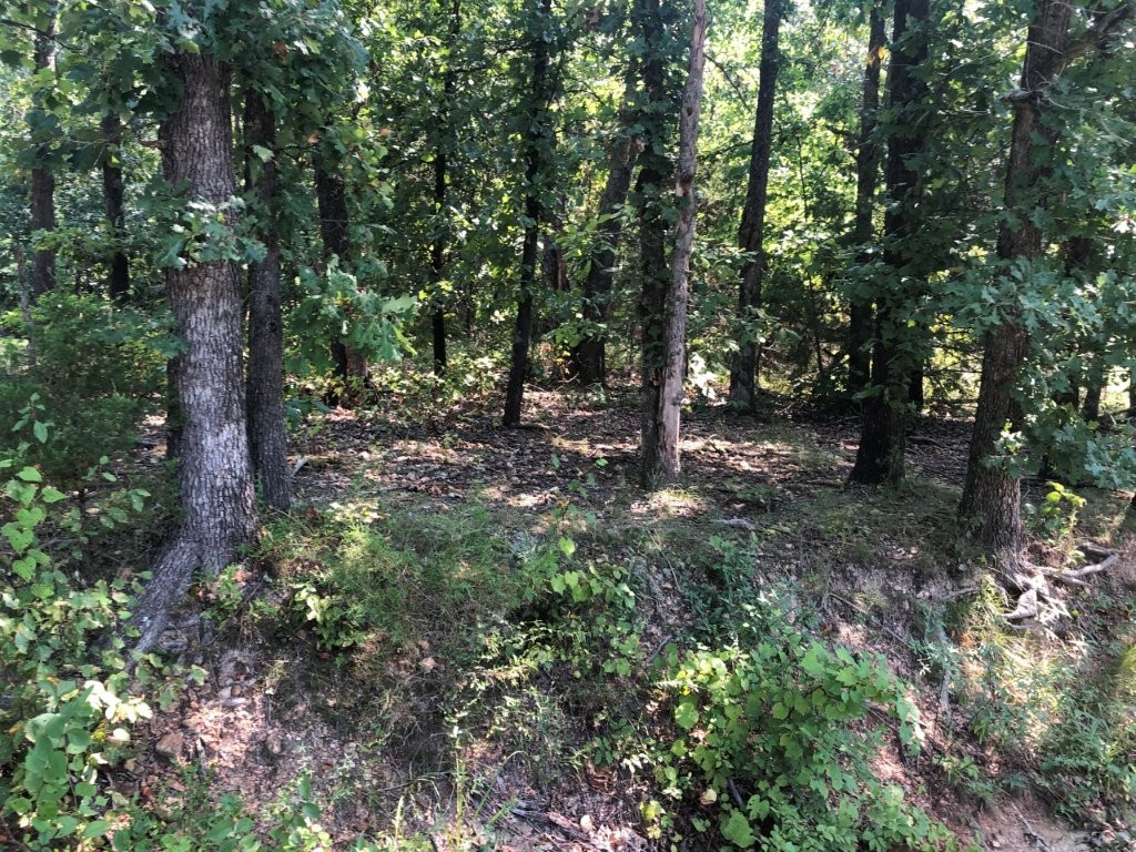Very flat 0.28(+/-) acres in a subdivision of nice homes, minutes from Lake Windsor landing. Near trails and quick access to I-49.
