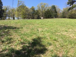 Nice Lake Dardanelle View! Septic in place, city water meter is in place. London water. Russellville School District bus route. White vinyl fence around land.