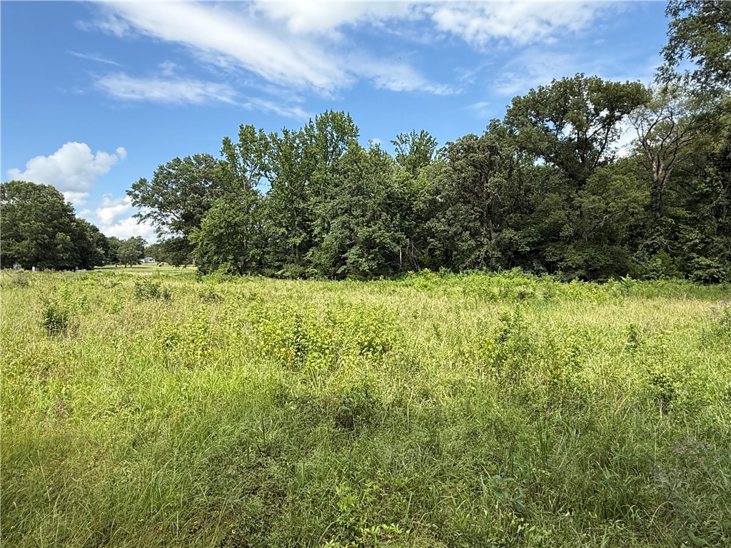 One acre level lot. Country setting and close to town. The cleared lot provides a head start for a new home site. Additional acreage can be purchased that adjoins this property. MLS#1319333 (3acre) MLS# 1320163 (1acre) MLS# 1322781 (1acre)