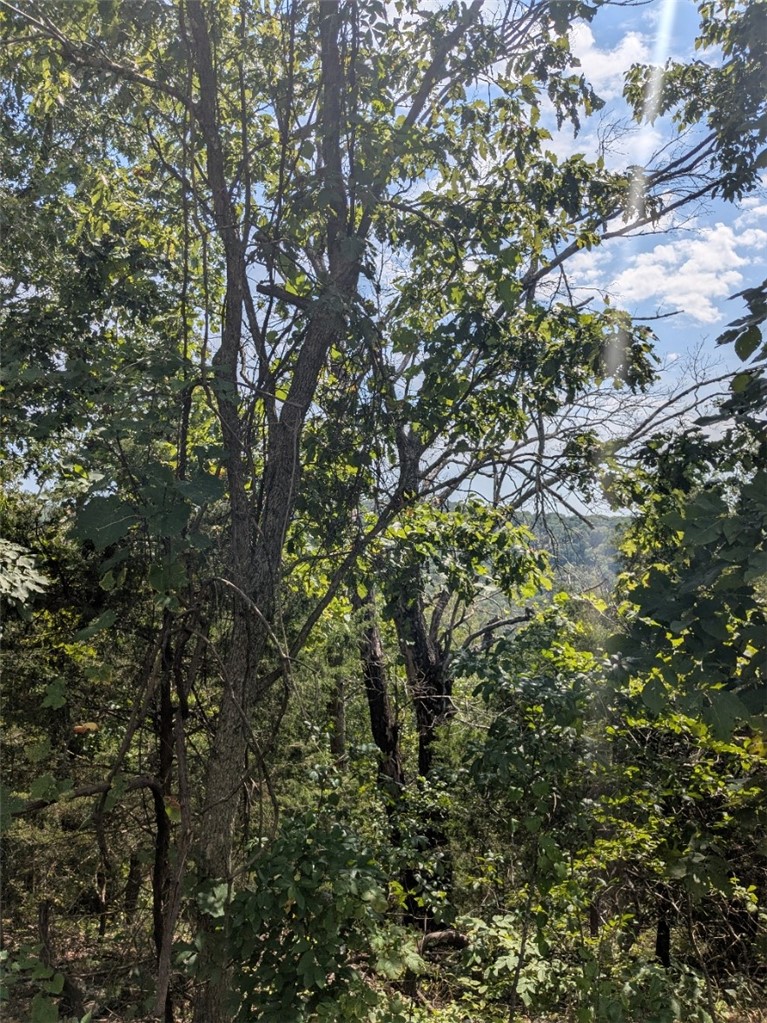 Unit 13 Holiday Island - Land