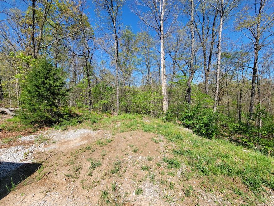 A large lot on a cul-de-sac that is nicely shaped for building your new home.  This lot is located near the Flo Ride and Sbat trails.  The Seller had a recent perc test done on this lot.  The results show 355 ft of lateral lines needed for a 3-bedroom home.  Bentonville schools.