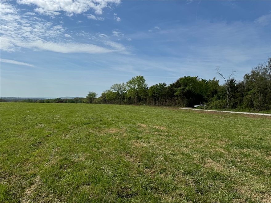 Beautiful views on blacktop road 15 minutes to Farmington & 15 minutes to Lincoln or Prairie Grove. Large, beautiful tracts with awesome views. Soil test has been done. Splits are in process. No mobiles or chicken houses. Rural water is available from Lincoln. More acreage available. Agent owned. Acreage is subject to change. See ML# 1342729, 1342731-1342736