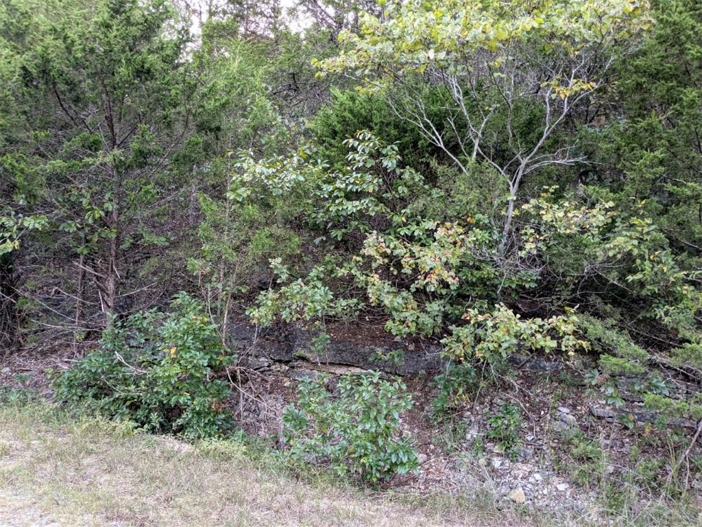 Unit 5 Holiday Island - Land