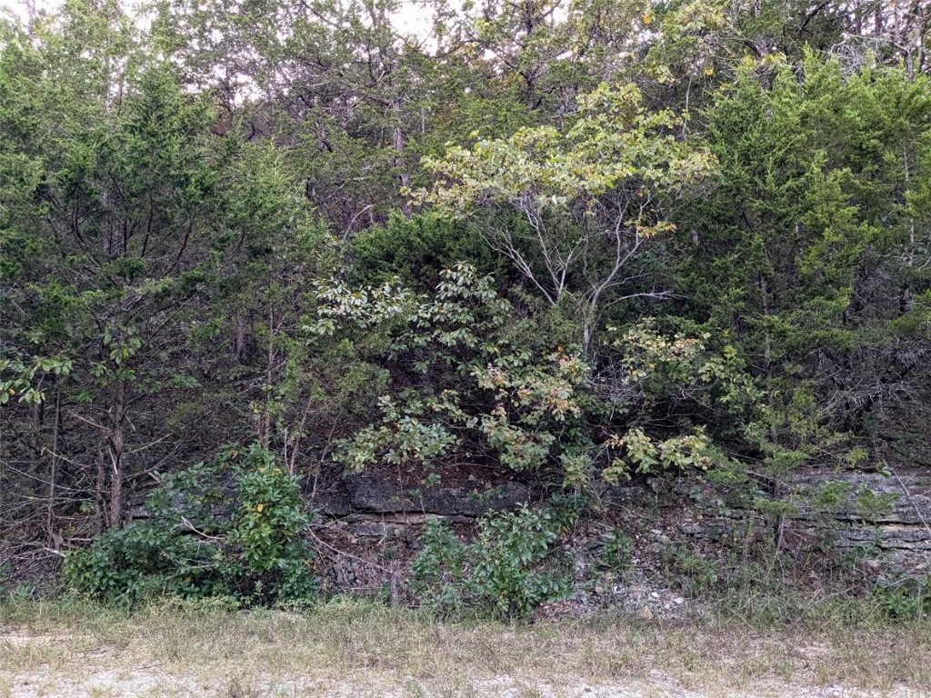 Unit 5 Holiday Island - Land