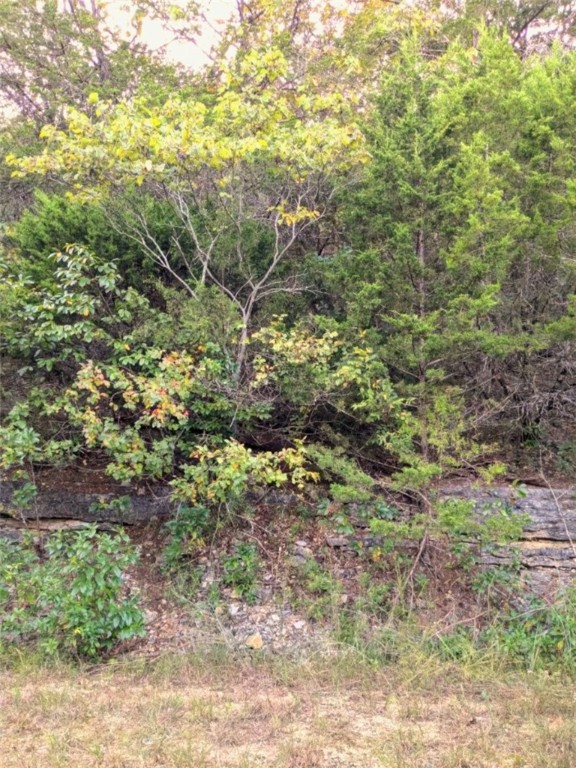 Unit 5 Holiday Island - Land