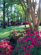 Hilltop Estates Phs 1,2 &3 - Residential