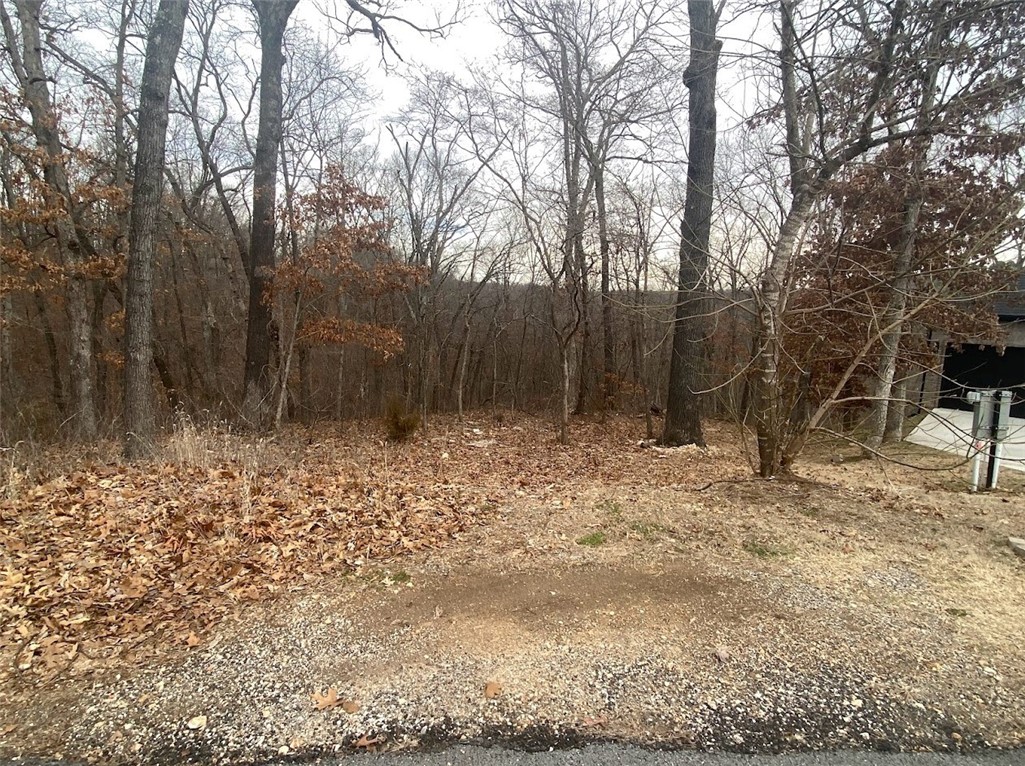 Build your dream home on this 0.51-acre lot just at the end of a Cul-de Sac. Your future home could be across the street from Lake Brittany!! It is also just down the street from the docks at Lake Brittany Park & the Back 40 Trails.