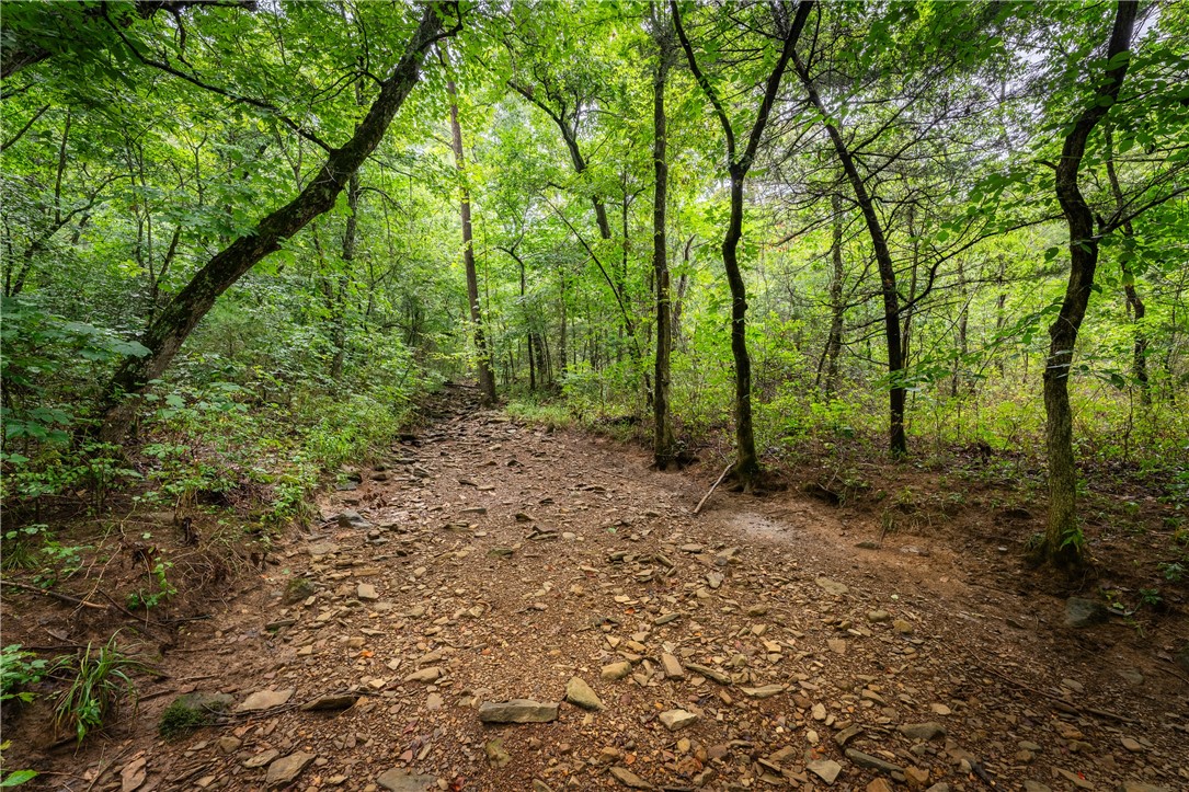 S-T-R 18-15-29 /  07-15-29 - Land