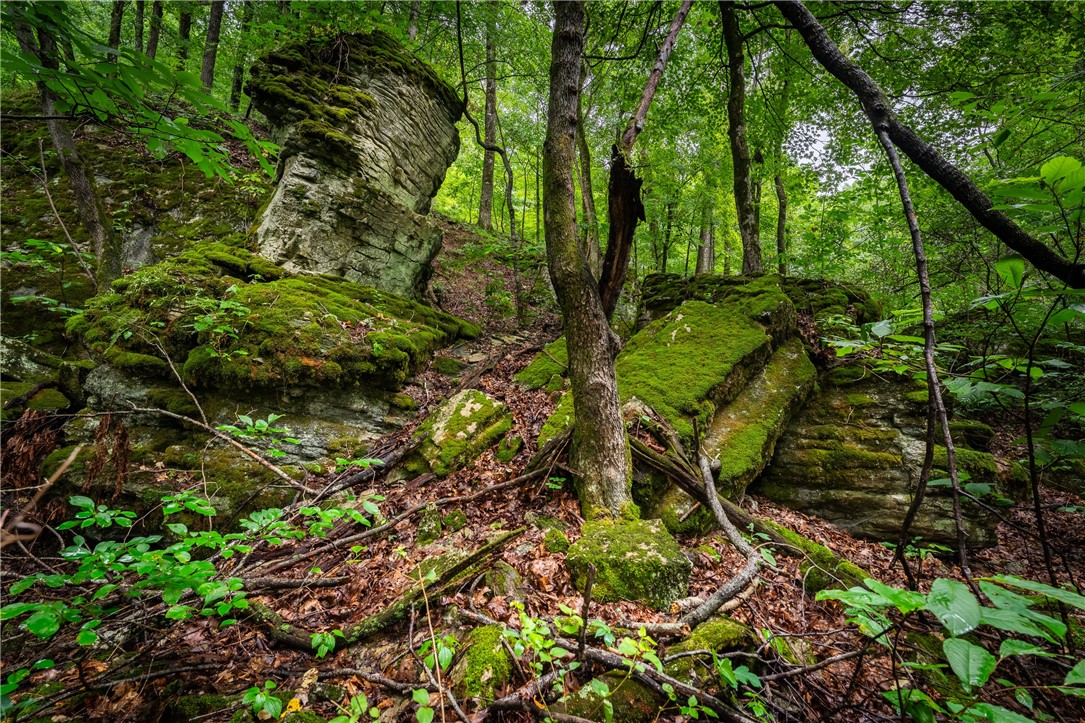 S-T-R 18-15-29 /  07-15-29 - Land