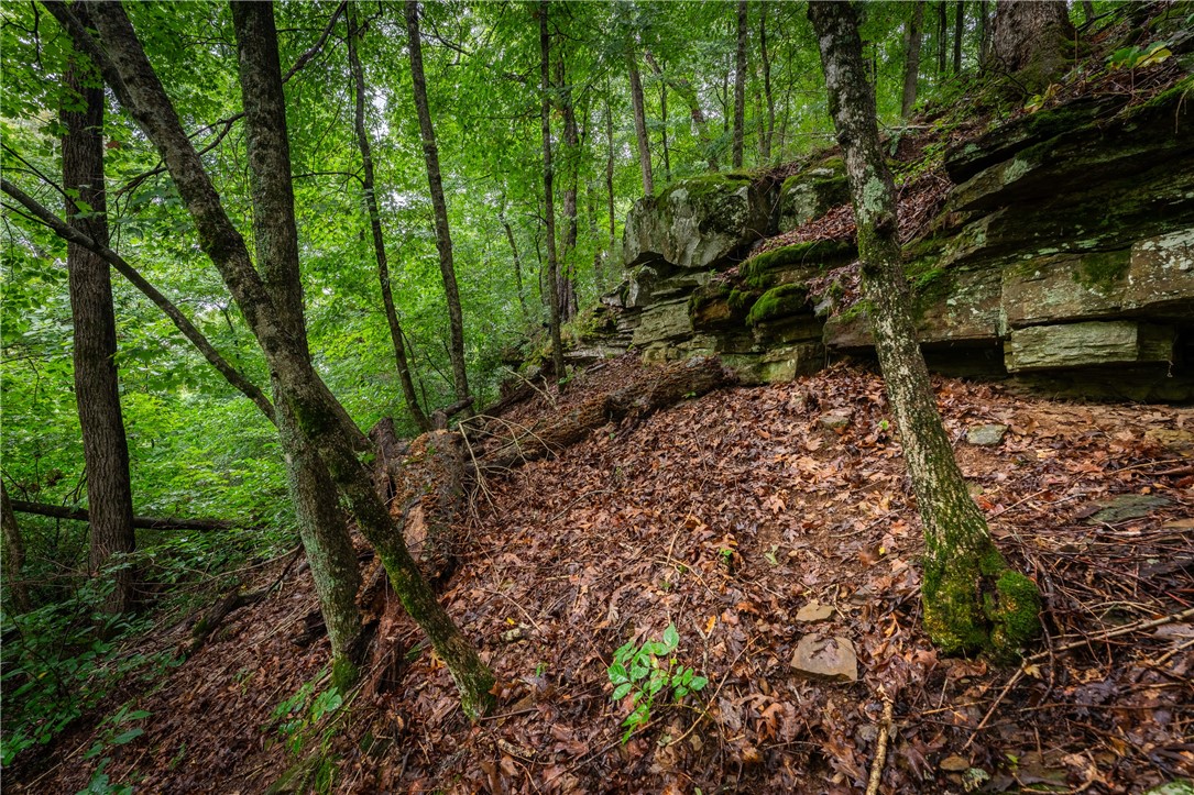 S-T-R 18-15-29 /  07-15-29 - Land