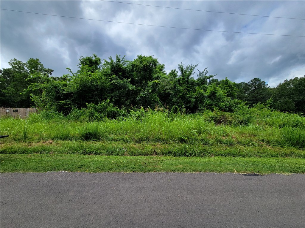This almost perfectly flat lot is nicely shaped and large enough that it should support a 3-bedroom home. The seller has had a recent perc test done and the report states that only 300 ft. of lateral lines are needed for a 3-bedroom septic system. The lot is located 1 mile from the Branchwood recreation center where you will find a fitness center, pickleball courts, sauna, playground and more. It's also located about a couple of miles from Loch Lomond and the Highlands gold course and clubhouse. Go check out this lot and see if this is the place for your new home.