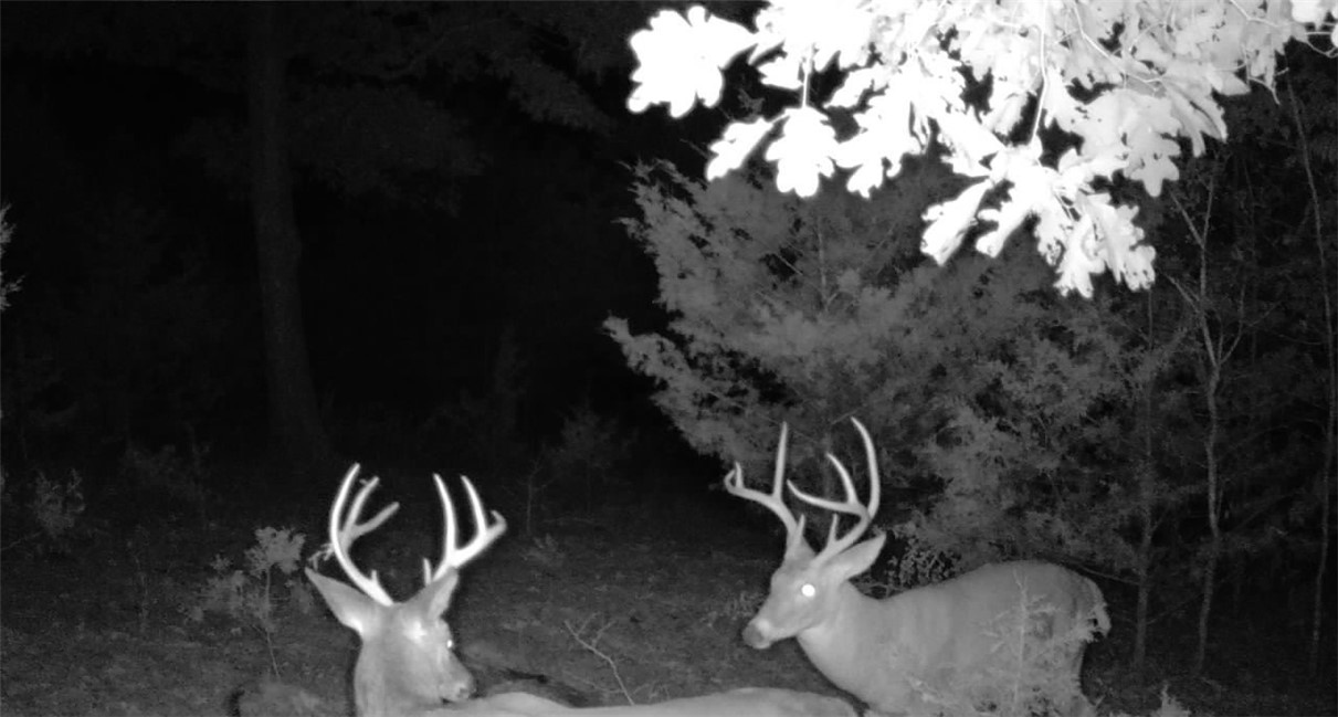 Webb's Landing - Residential