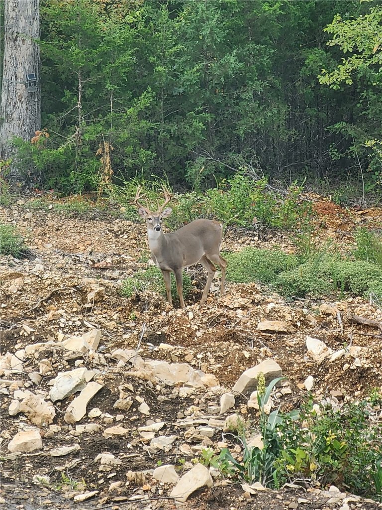 Webb's Landing - Residential